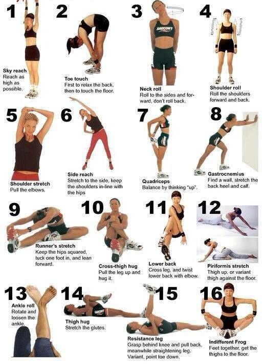 How Long Is Insanity Workout Lasopamuse