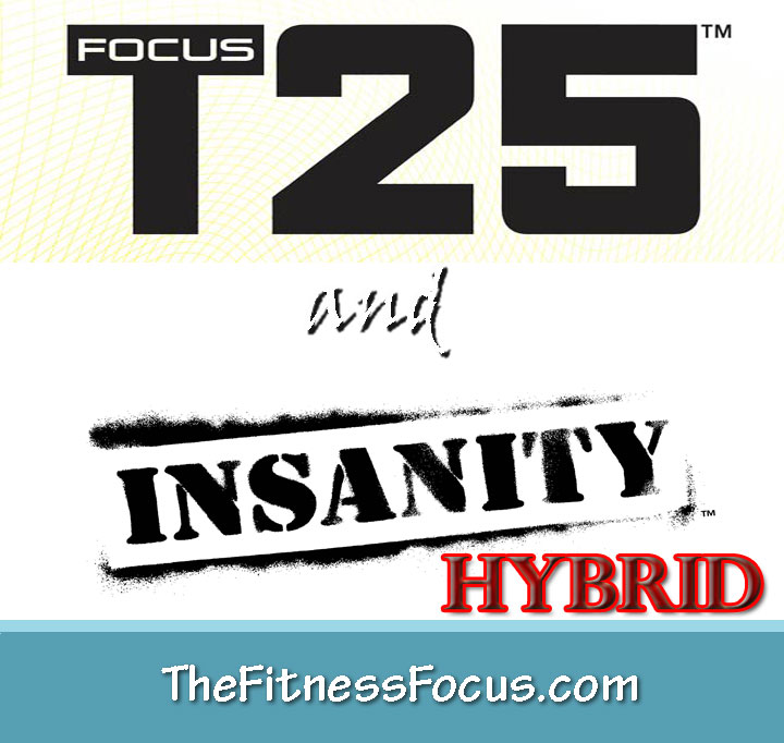 insanity workout schedule excel