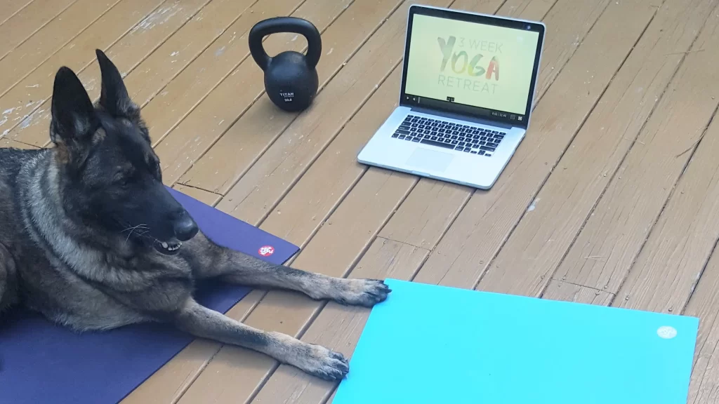 worrking out while traveling on deck with laptop kettlebell and dog
