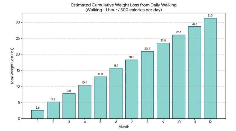 graph showing what actual weight loss looks like in the long term which is slow and steady